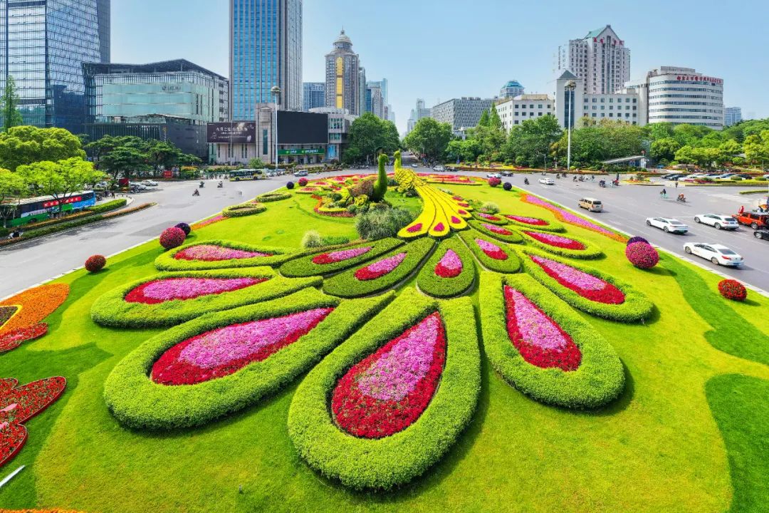 �׾�������(rayban)-����Ծ���ȫ����Ӿ�����Ѷ