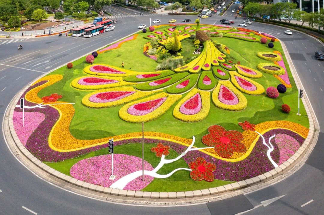 �׾�������(rayban)-����Ծ���ȫ����Ӿ�����Ѷ