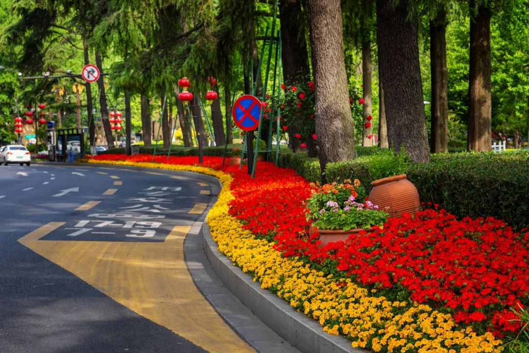 �׾�������(rayban)-����Ծ���ȫ����Ӿ�����Ѷ