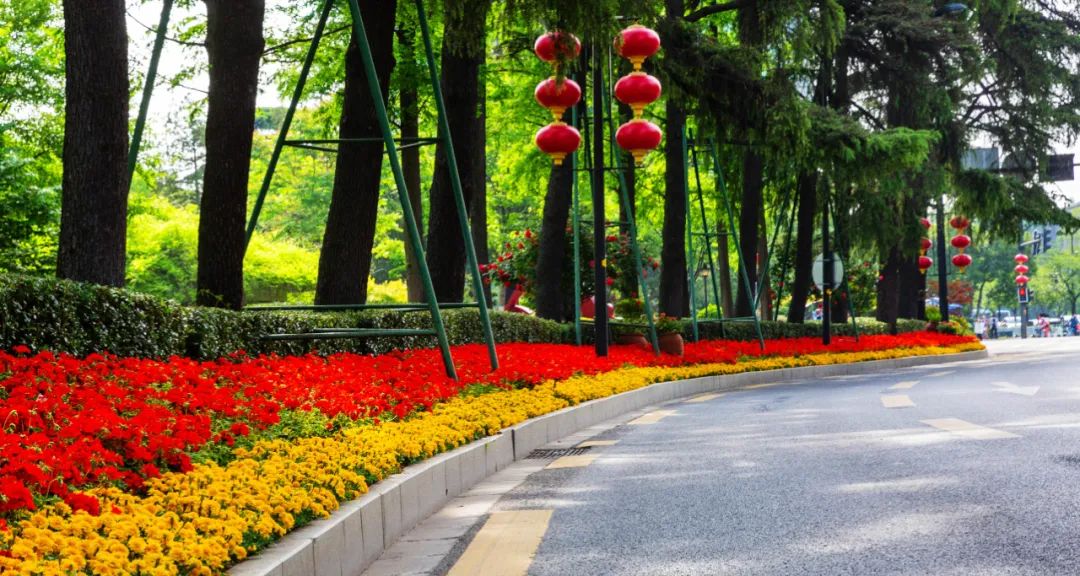 �׾�������(rayban)-����Ծ���ȫ����Ӿ�����Ѷ