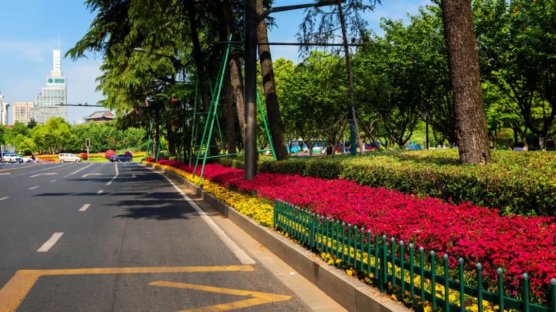 �׾�������(rayban)-����Ծ���ȫ����Ӿ�����Ѷ