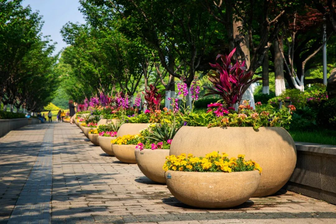 �׾�������(rayban)-����Ծ���ȫ����Ӿ�����Ѷ