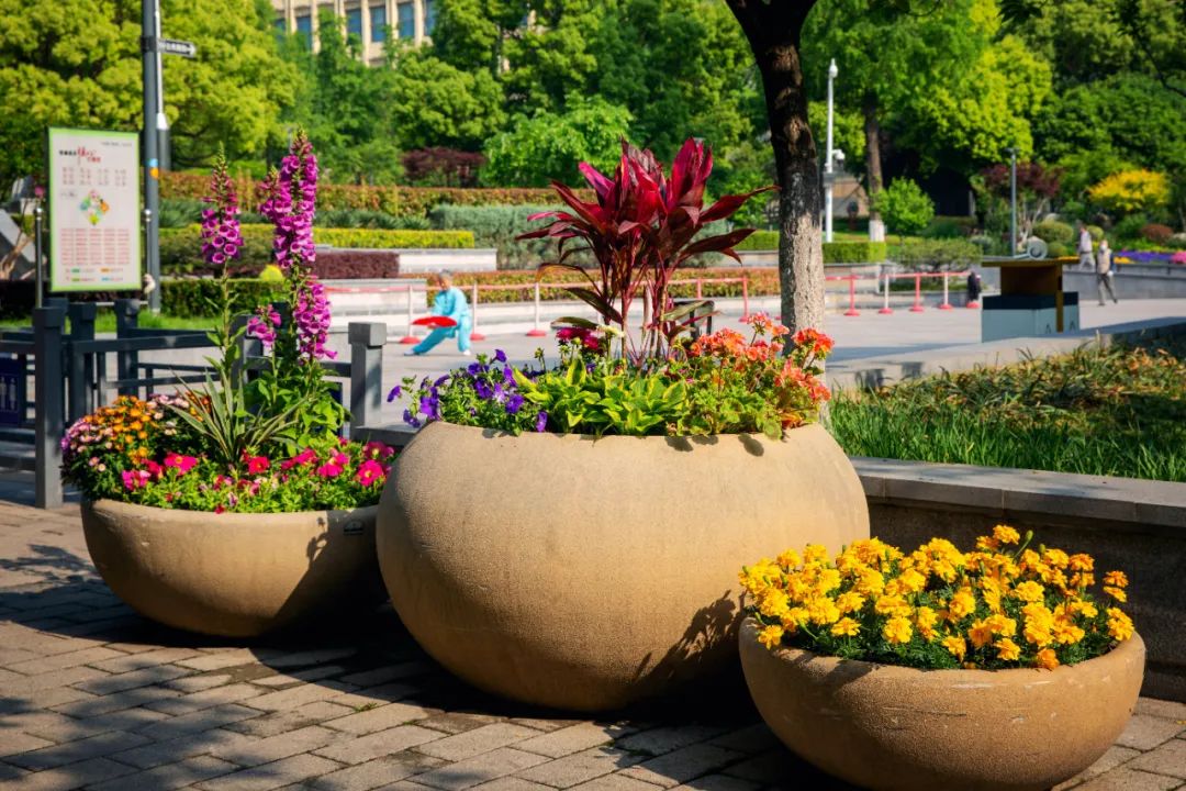 �׾�������(rayban)-����Ծ���ȫ����Ӿ�����Ѷ