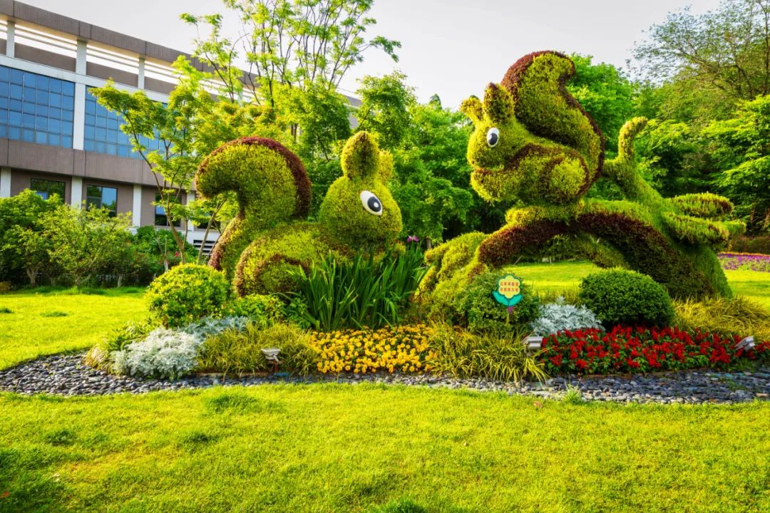 �׾�������(rayban)-����Ծ���ȫ����Ӿ�����Ѷ