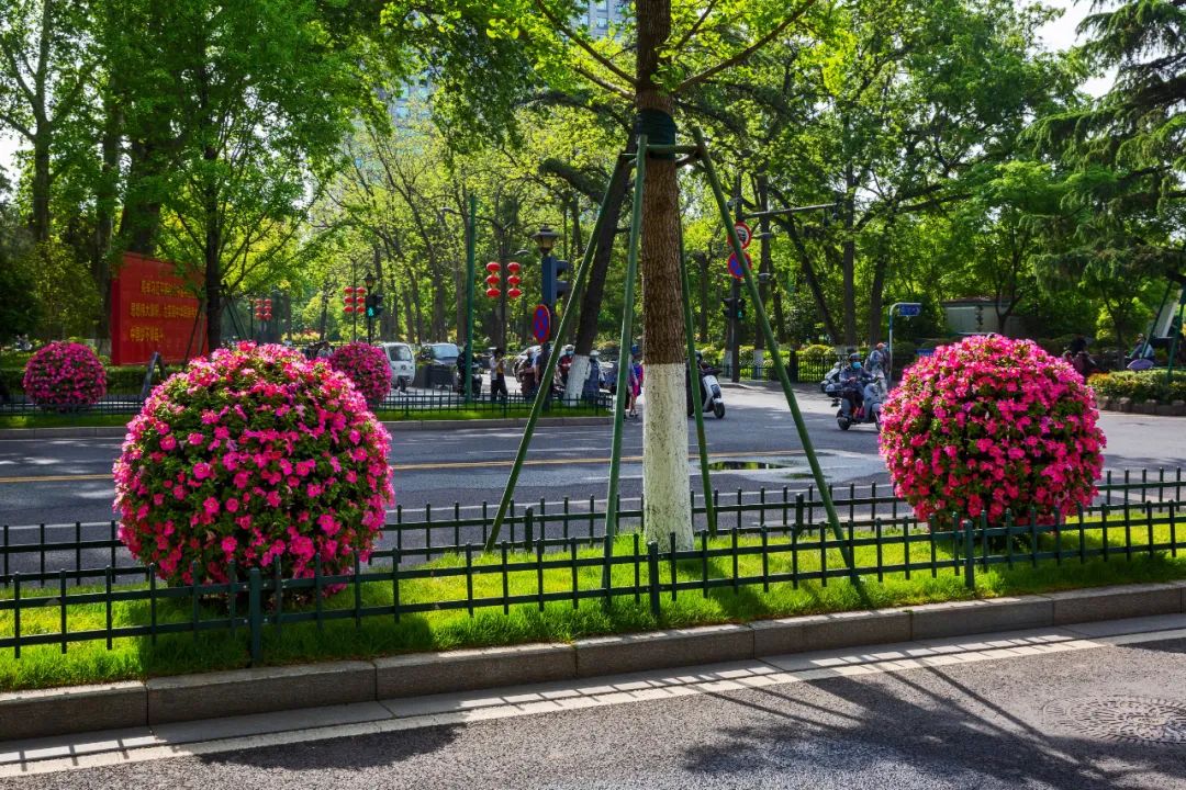 �׾�������(rayban)-����Ծ���ȫ����Ӿ�����Ѷ