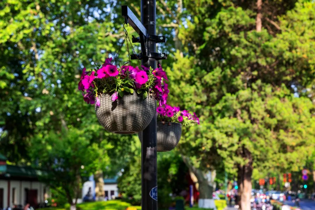 �׾�������(rayban)-����Ծ���ȫ����Ӿ�����Ѷ