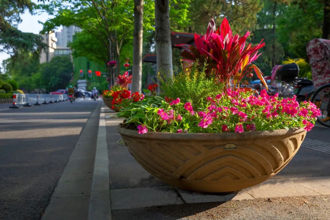 �׾�������(rayban)-����Ծ���ȫ����Ӿ�����Ѷ