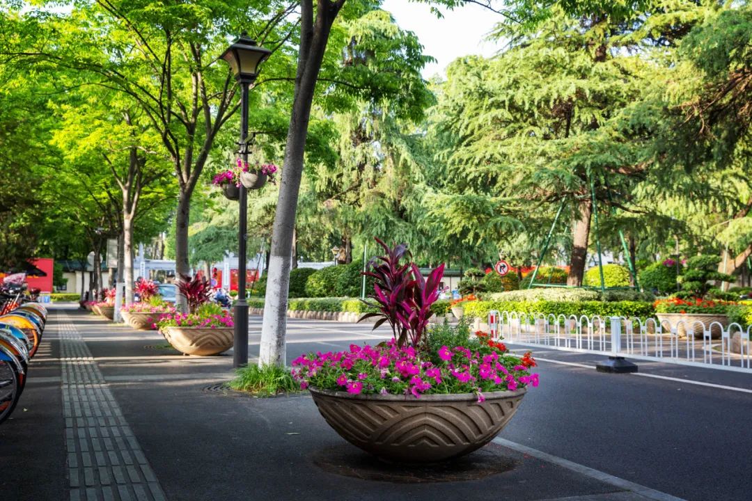 �׾�������(rayban)-����Ծ���ȫ����Ӿ�����Ѷ