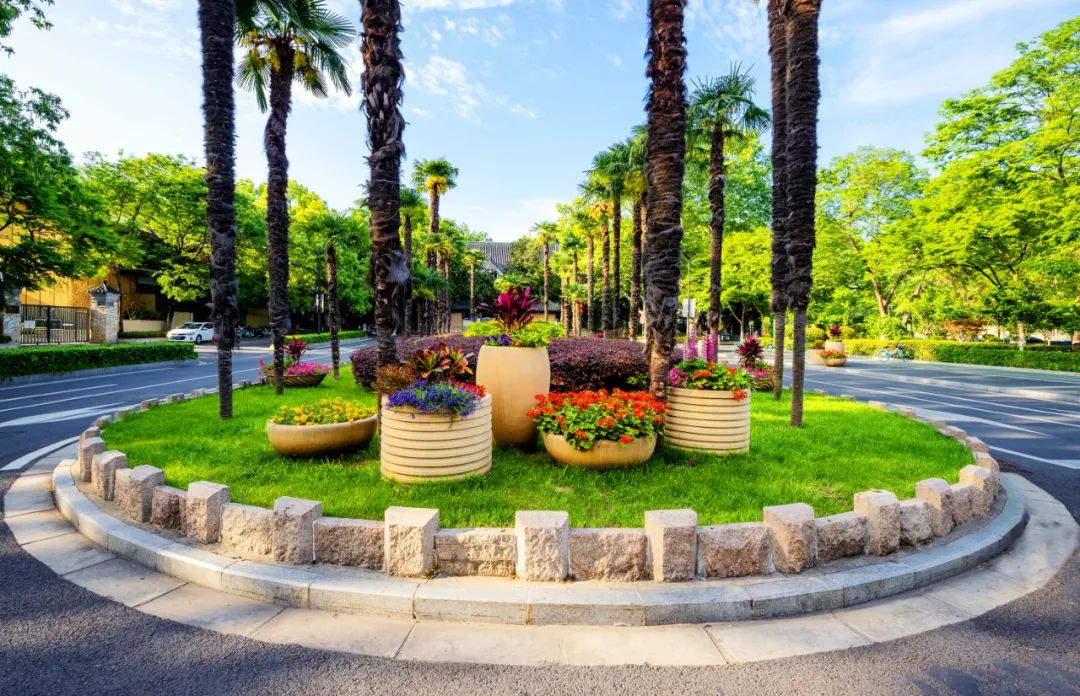 �׾�������(rayban)-����Ծ���ȫ����Ӿ�����Ѷ