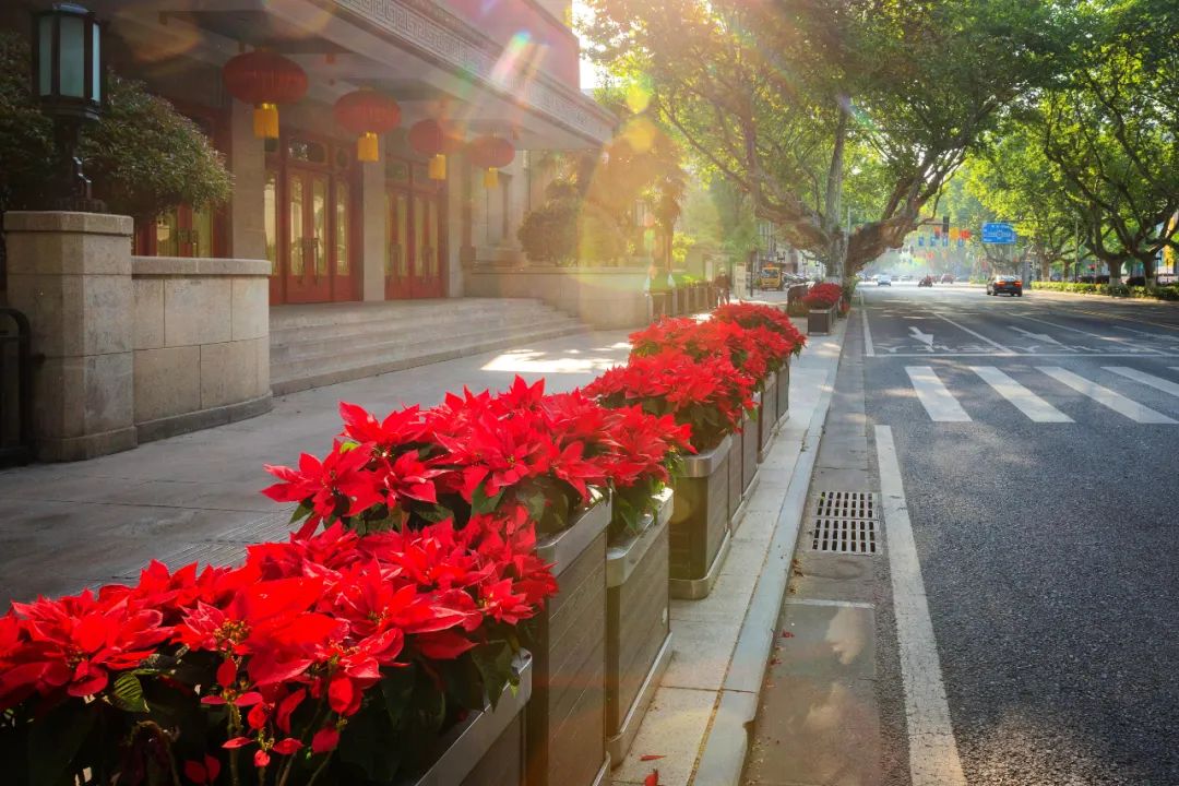 �׾�������(rayban)-����Ծ���ȫ����Ӿ�����Ѷ