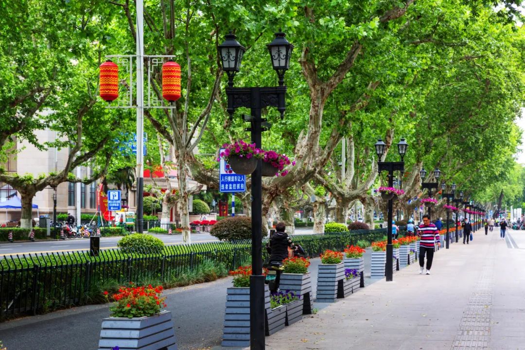 �׾�������(rayban)-����Ծ���ȫ����Ӿ�����Ѷ