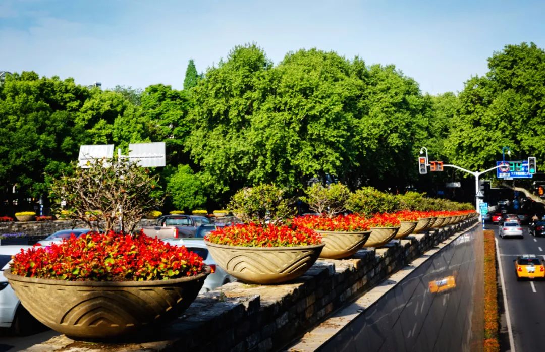 �׾�������(rayban)-����Ծ���ȫ����Ӿ�����Ѷ