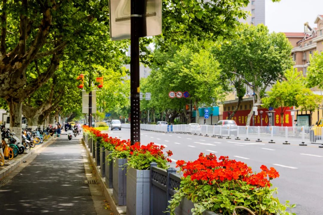 �׾�������(rayban)-����Ծ���ȫ����Ӿ�����Ѷ