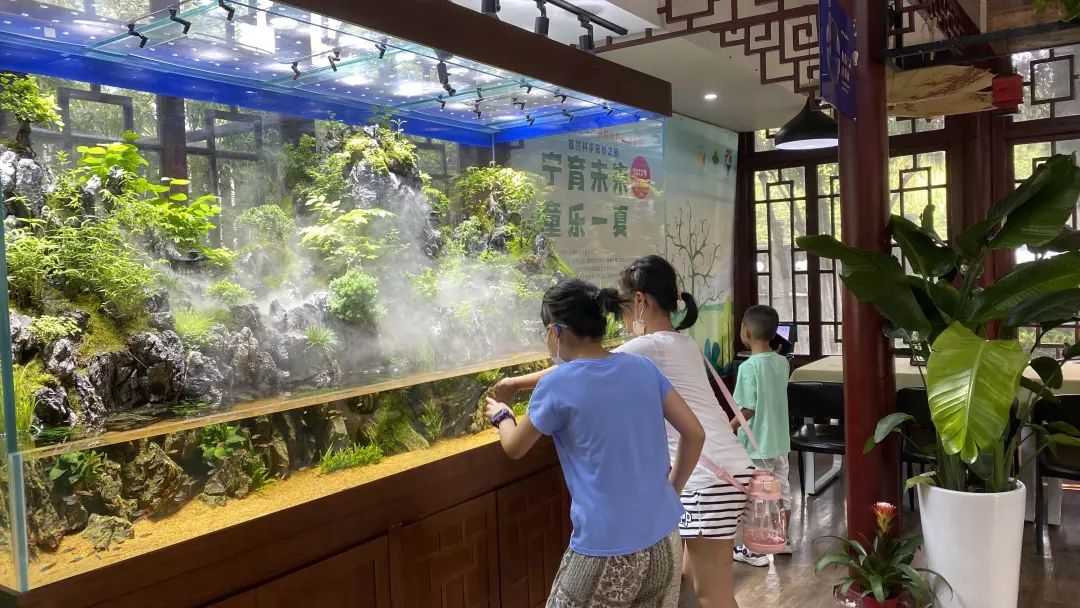 �׾�������(rayban)-����Ծ���ȫ����Ӿ�����Ѷ