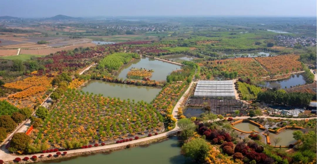 �׾�������(rayban)-����Ծ���ȫ����Ӿ�����Ѷ