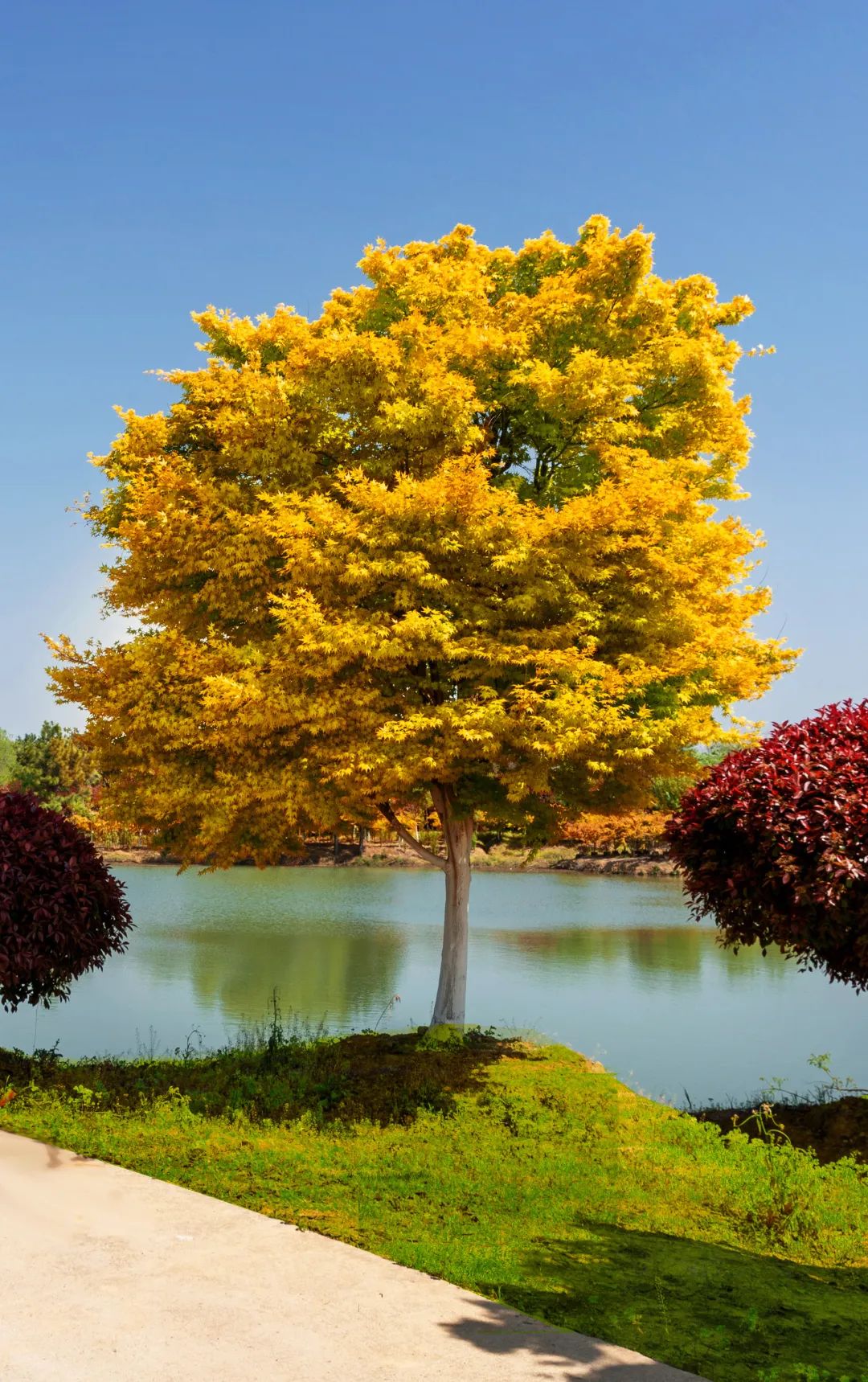 �׾�������(rayban)-����Ծ���ȫ����Ӿ�����Ѷ