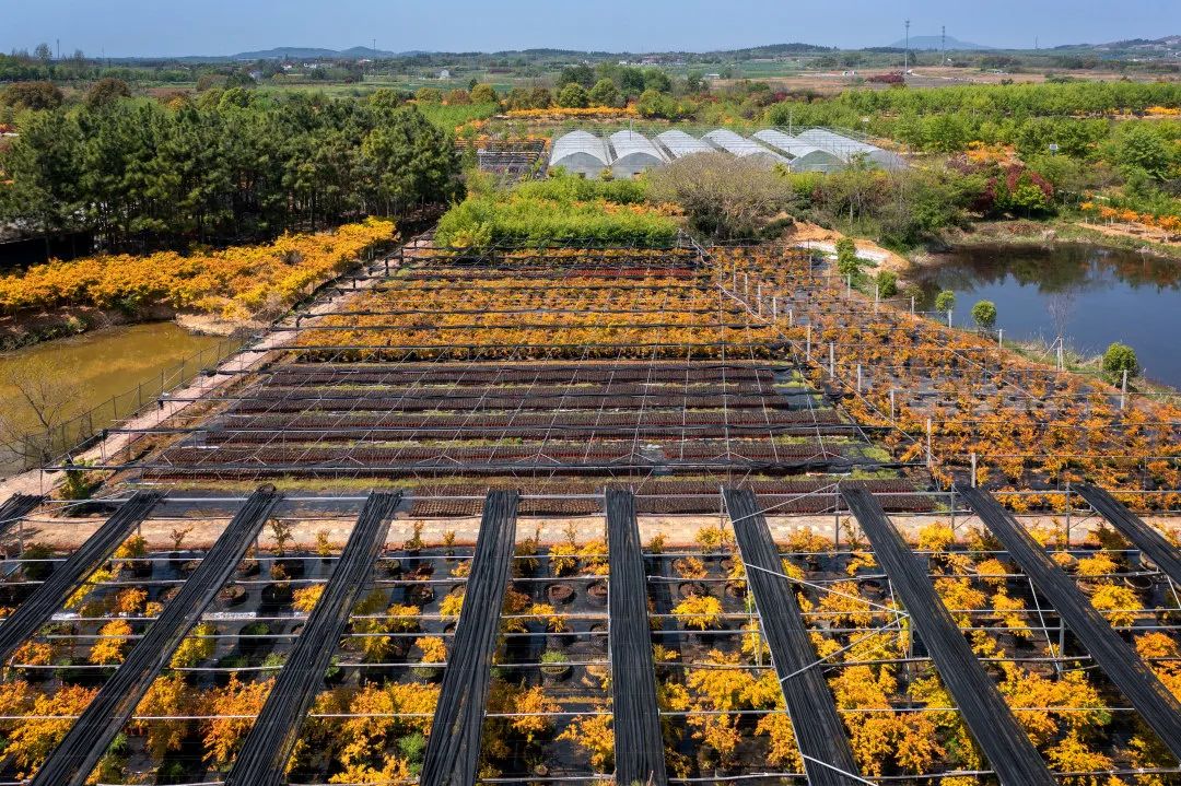 �׾�������(rayban)-����Ծ���ȫ����Ӿ�����Ѷ