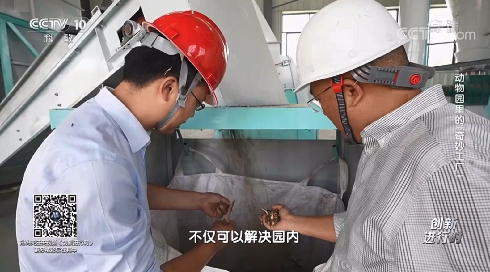 �׾�������(rayban)-����Ծ���ȫ����Ӿ�����Ѷ