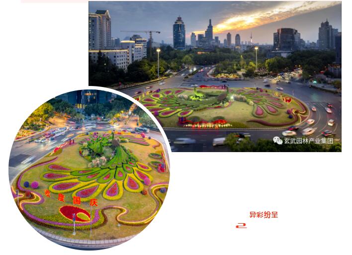 �׾�������(rayban)-����Ծ���ȫ����Ӿ�����Ѷ