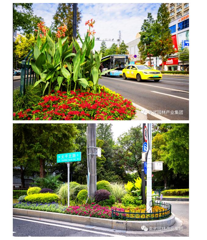 �׾�������(rayban)-����Ծ���ȫ����Ӿ�����Ѷ