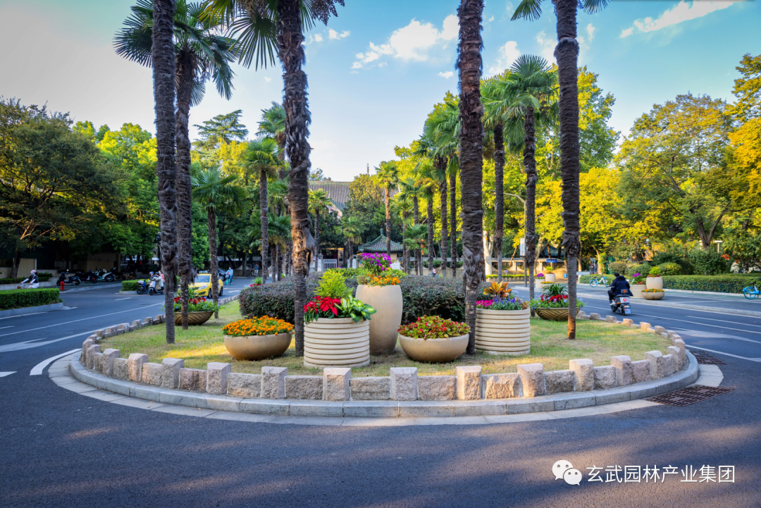 �׾�������(rayban)-����Ծ���ȫ����Ӿ�����Ѷ