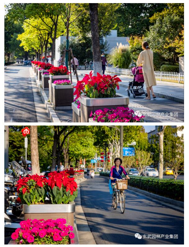 �׾�������(rayban)-����Ծ���ȫ����Ӿ�����Ѷ