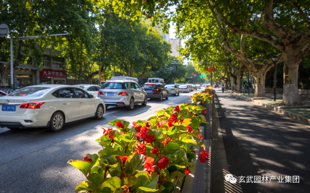 �׾�������(rayban)-����Ծ���ȫ����Ӿ�����Ѷ