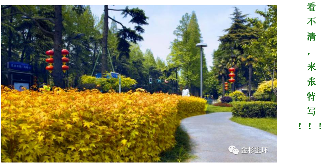 �׾�������(rayban)-����Ծ���ȫ����Ӿ�����Ѷ