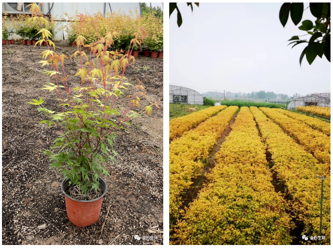 �׾�������(rayban)-����Ծ���ȫ����Ӿ�����Ѷ