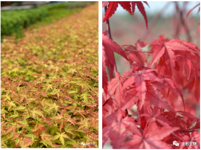 �׾�������(rayban)-����Ծ���ȫ����Ӿ�����Ѷ