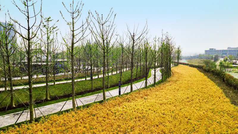 �׾�������(rayban)-����Ծ���ȫ����Ӿ�����Ѷ