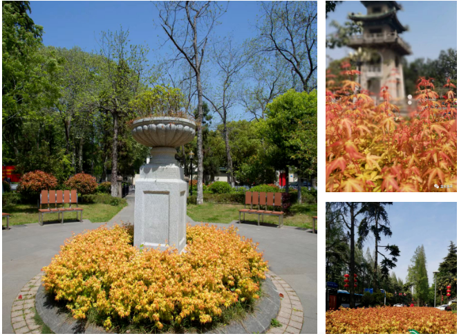 �׾�������(rayban)-����Ծ���ȫ����Ӿ�����Ѷ