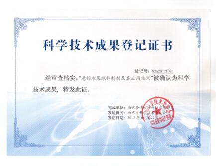 �׾�������(rayban)-����Ծ���ȫ����Ӿ�����Ѷ