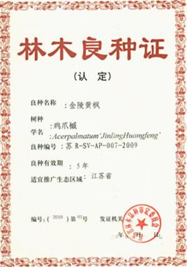 �׾�������(rayban)-����Ծ���ȫ����Ӿ�����Ѷ