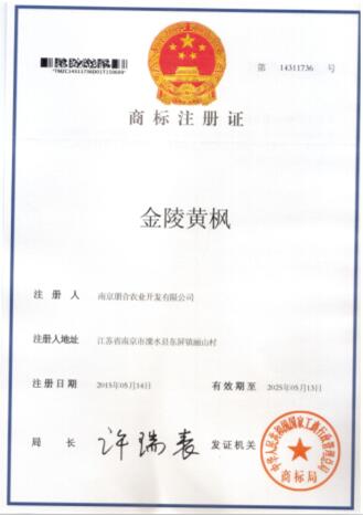 �׾�������(rayban)-����Ծ���ȫ����Ӿ�����Ѷ