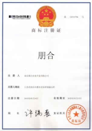 �׾�������(rayban)-����Ծ���ȫ����Ӿ�����Ѷ