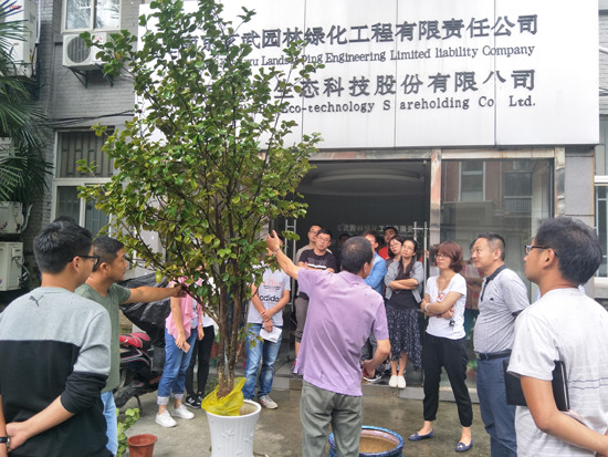 �׾�������(rayban)-����Ծ���ȫ����Ӿ�����Ѷ