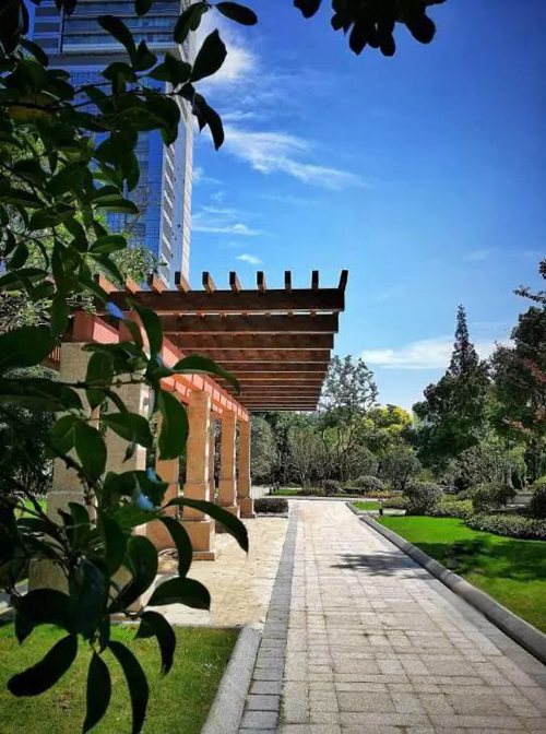 �׾�������(rayban)-����Ծ���ȫ����Ӿ�����Ѷ