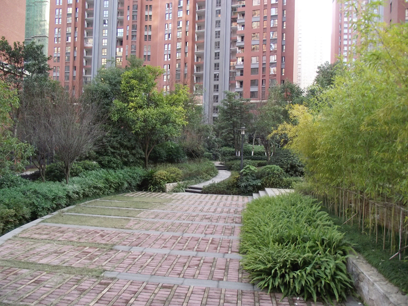 �׾�������(rayban)-����Ծ���ȫ����Ӿ�����Ѷ