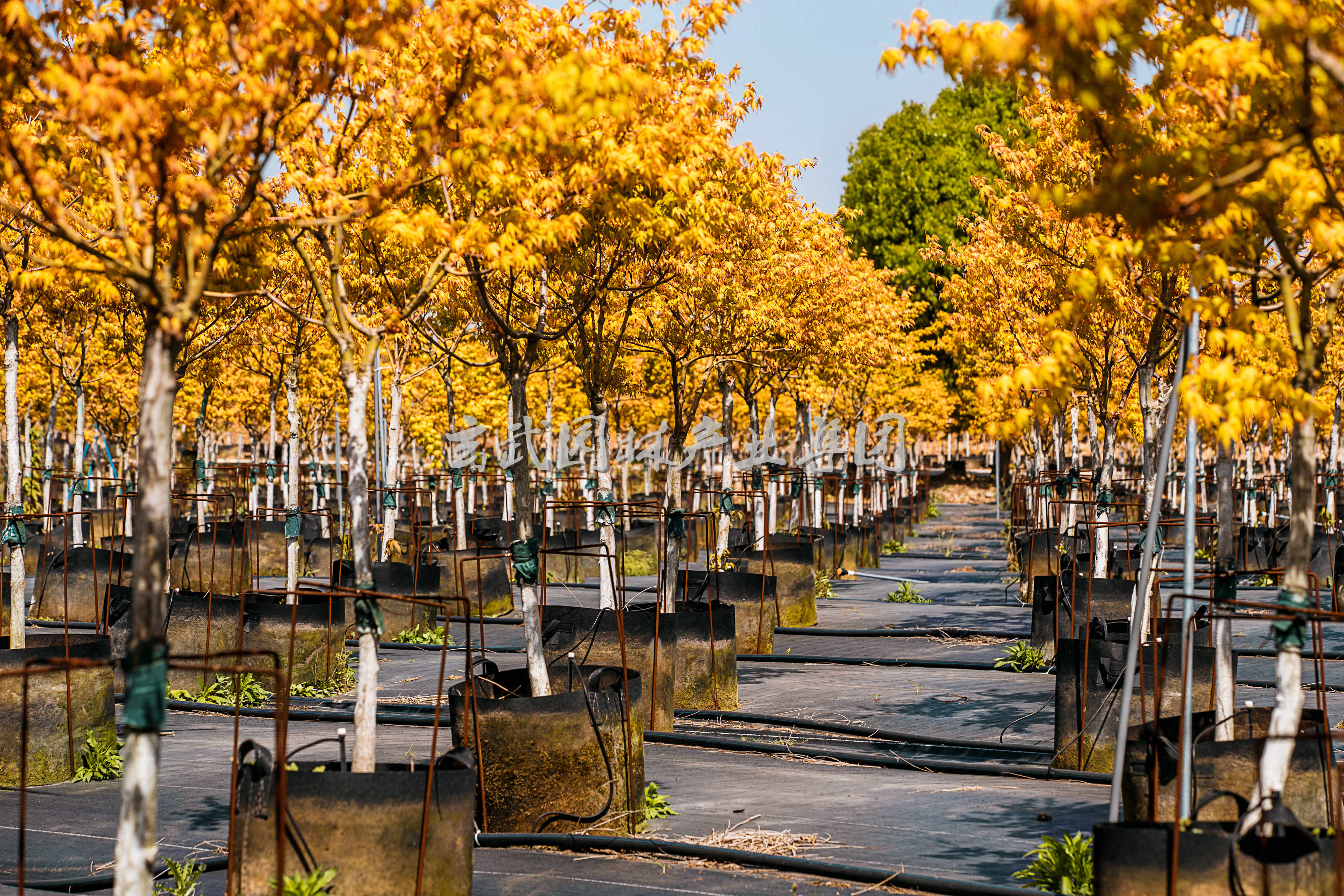 �׾�������(rayban)-����Ծ���ȫ����Ӿ�����Ѷ