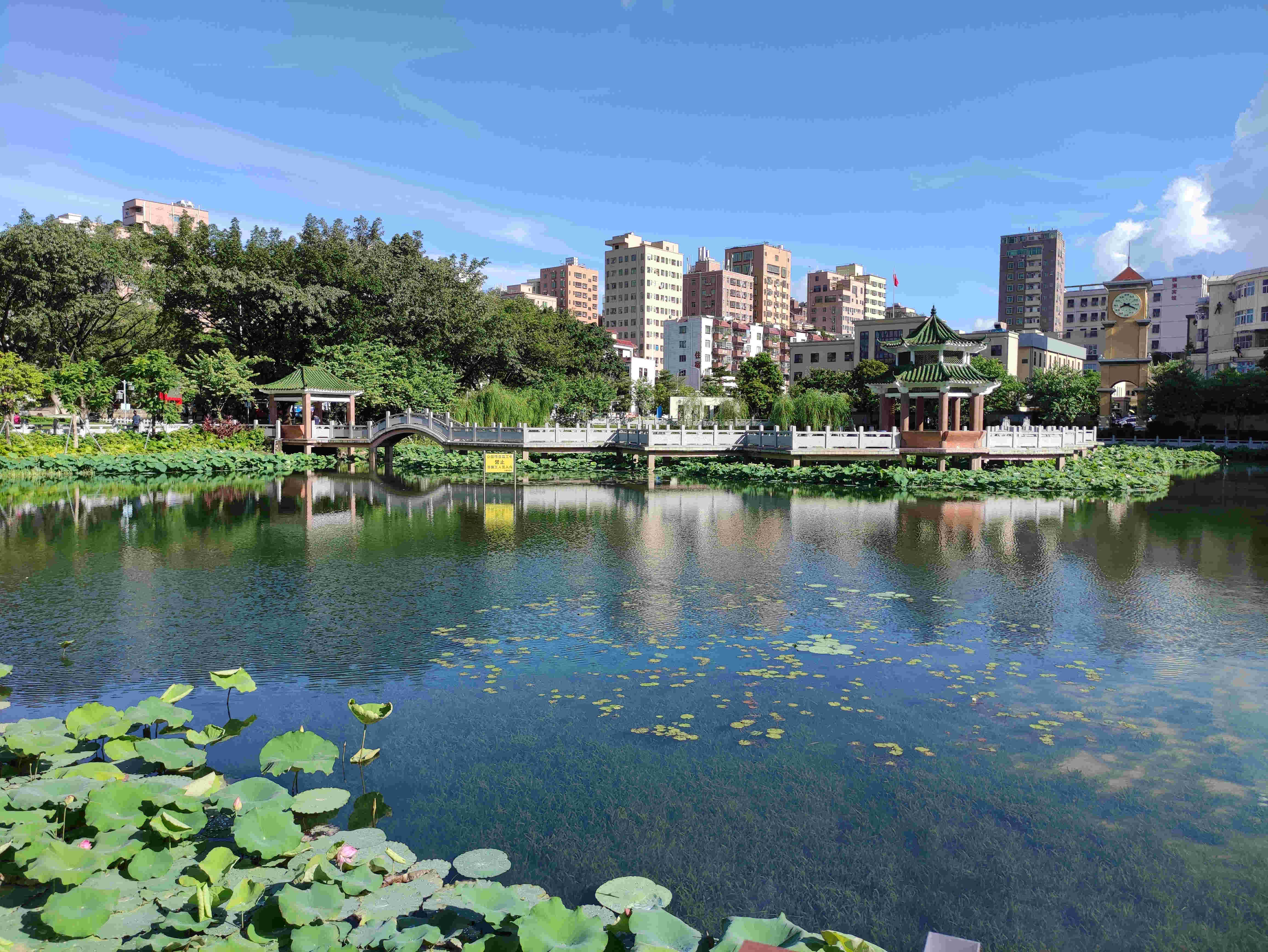 �׾�������(rayban)-����Ծ���ȫ����Ӿ�����Ѷ