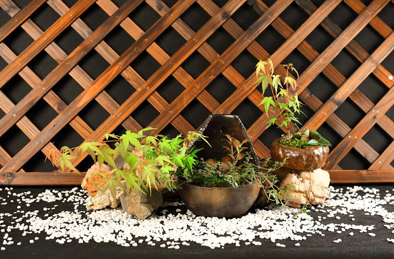 �׾�������(rayban)-����Ծ���ȫ����Ӿ�����Ѷ