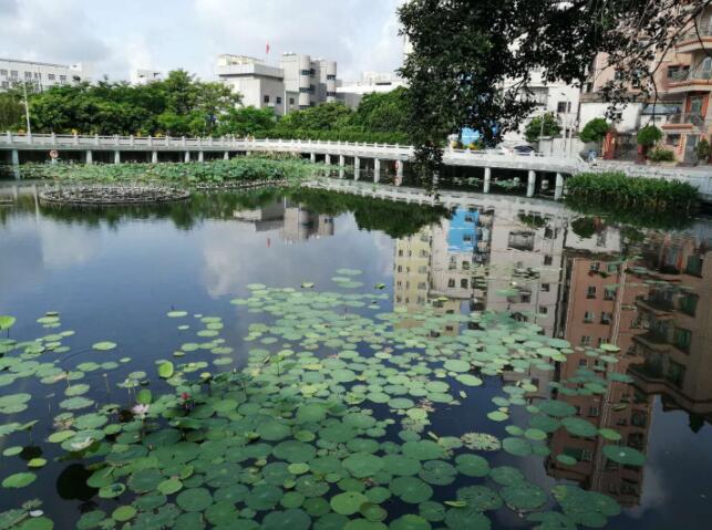 �׾�������(rayban)-����Ծ���ȫ����Ӿ�����Ѷ