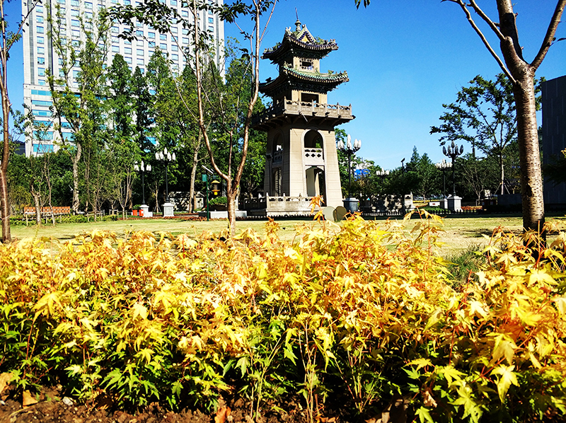 �׾�������(rayban)-����Ծ���ȫ����Ӿ�����Ѷ