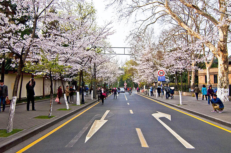 �׾�������(rayban)-����Ծ���ȫ����Ӿ�����Ѷ