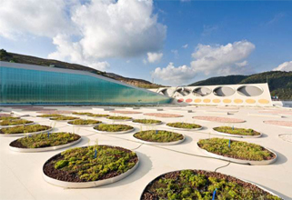 �׾�������(rayban)-����Ծ���ȫ����Ӿ�����Ѷ